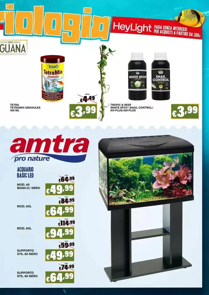 Buona pasqua da 10 aprile a 4 maggio di 2025 - Pagina del volantino 11