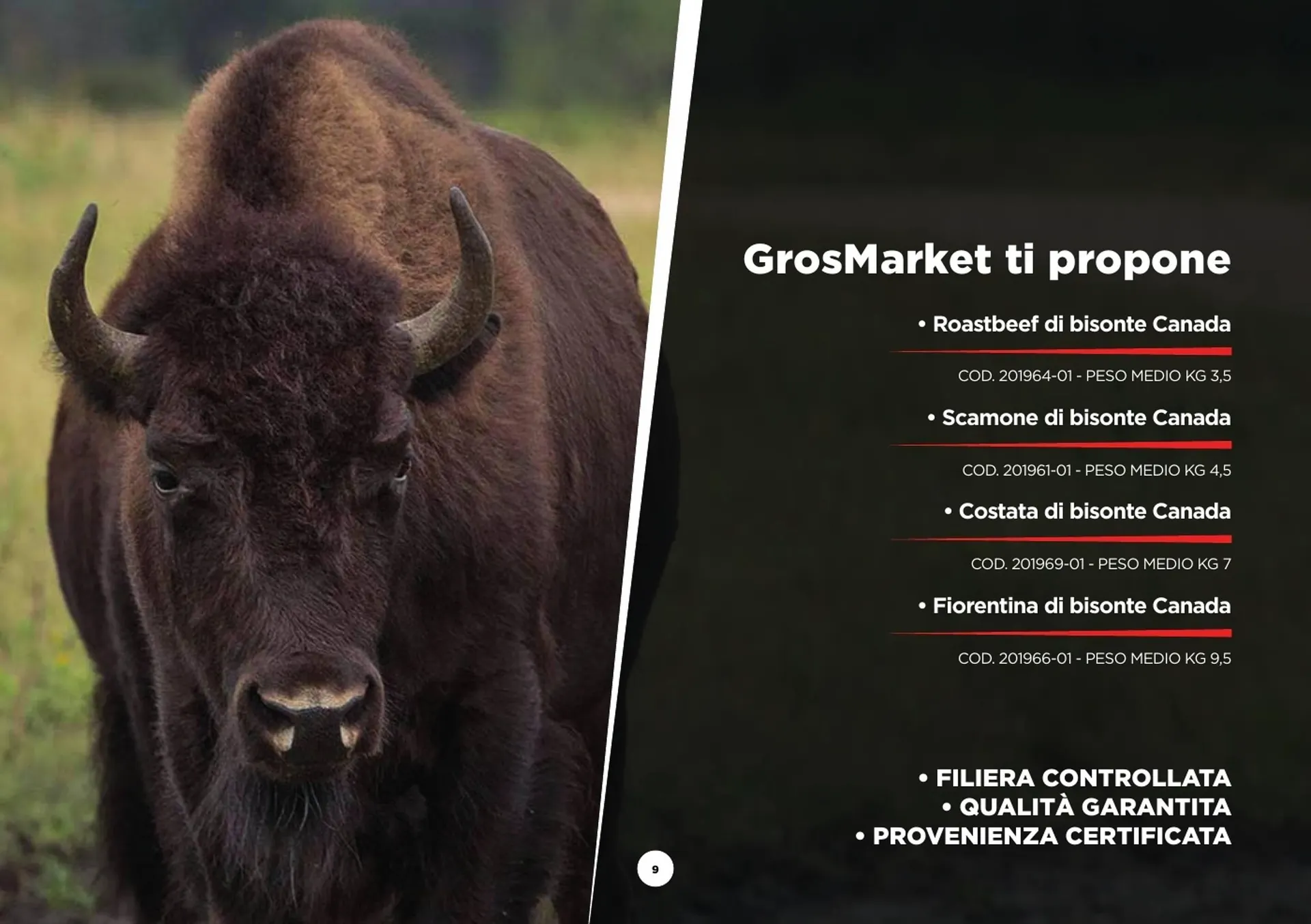 Volantino SoGeGross da 13 dicembre a 27 aprile di 2025 - Pagina del volantino 9