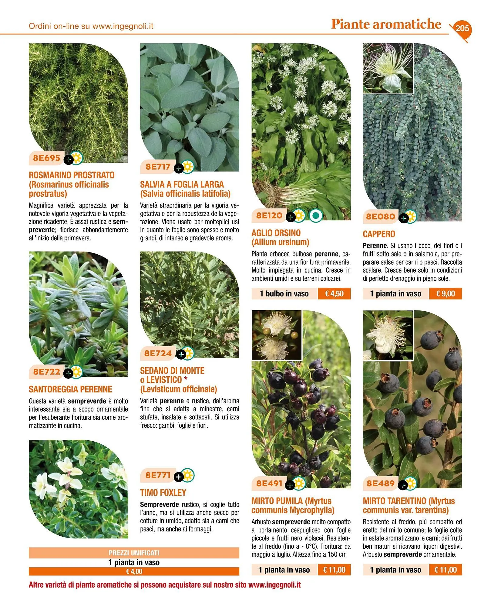 Volantino Ingegnoli da 4 novembre a 31 dicembre di 2025 - Pagina del volantino 207