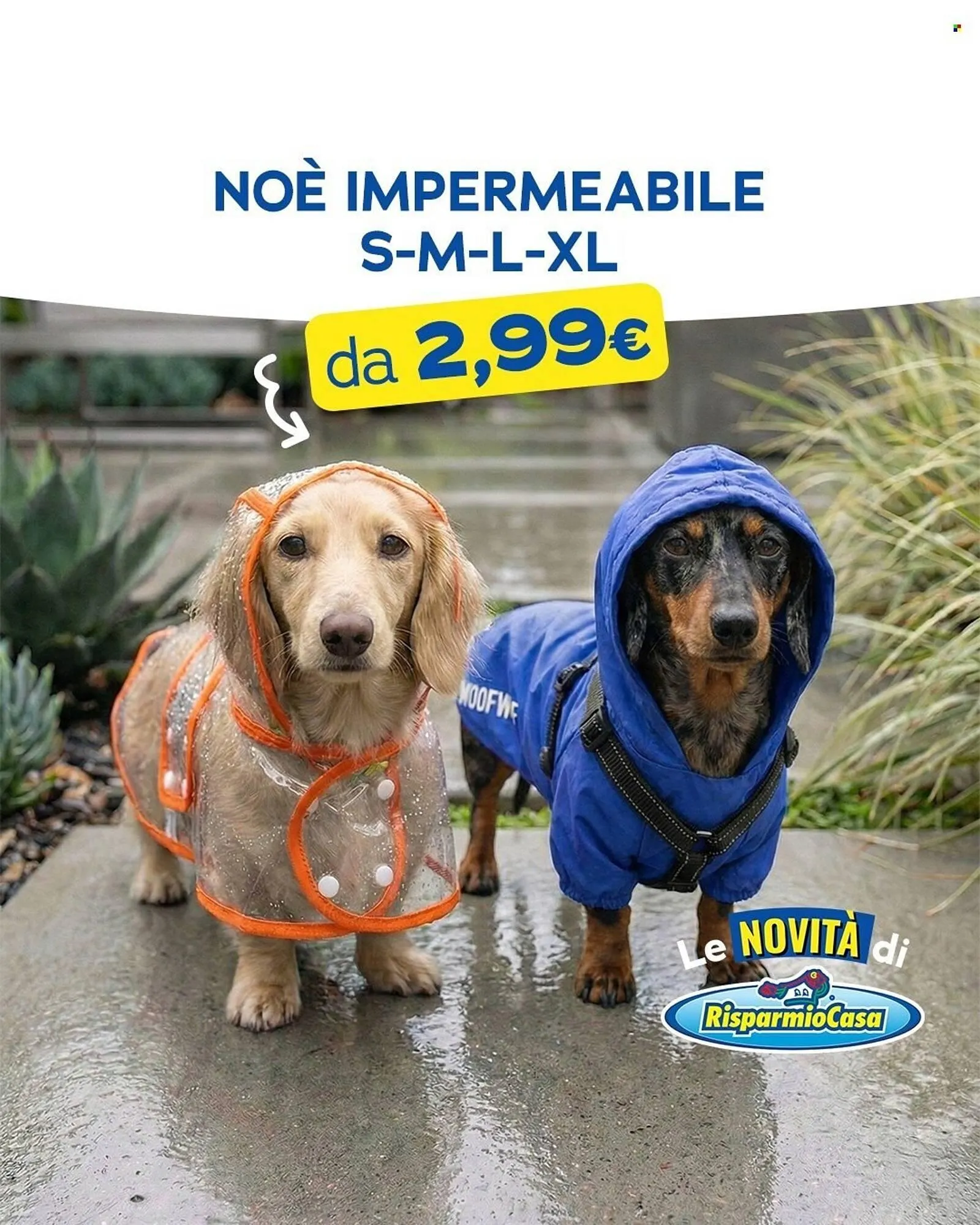 Volantino Risparmio Casa da 18 gennaio a 26 gennaio di 2026 - Pagina del volantino 2