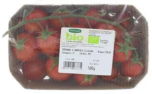 Pomodoro Ciliegino Bennet Bio Vaschetta