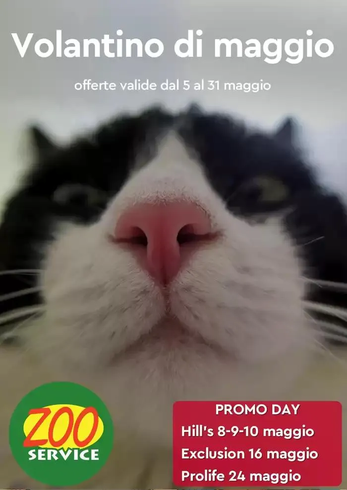Maggio - 1