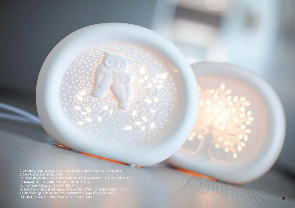 Botanic plus da 25 marzo a 31 dicembre di 2024 - Pagina del volantino 41