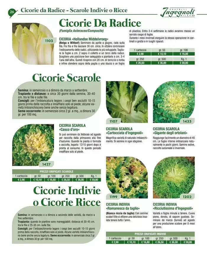 Catalogo guida 2025 da 20 gennaio a 31 dicembre di 2025 - Pagina del volantino 28