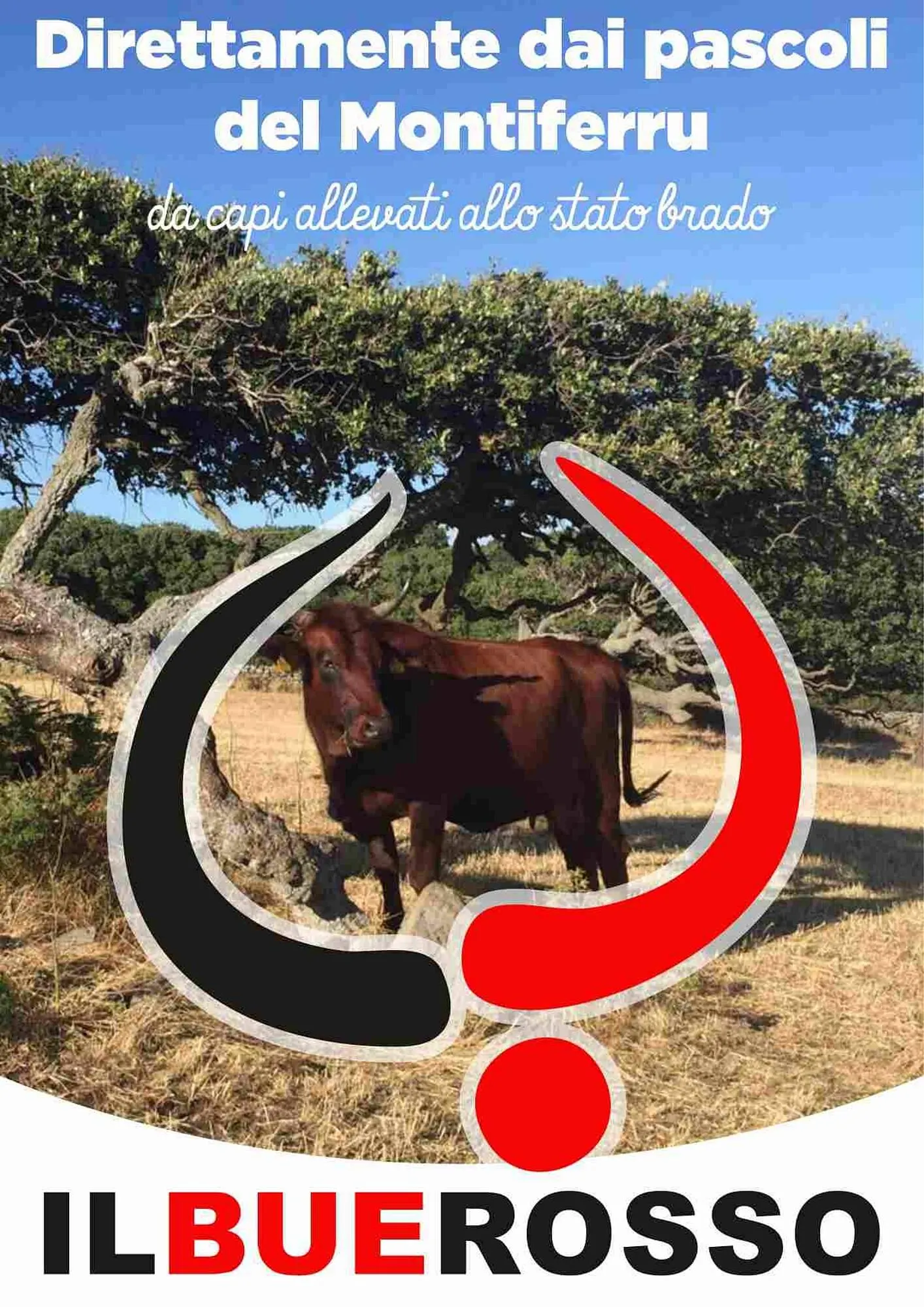 Volantino Vicino a te supermercati da 17 novembre a 30 novembre di 2025 - Pagina del volantino 12