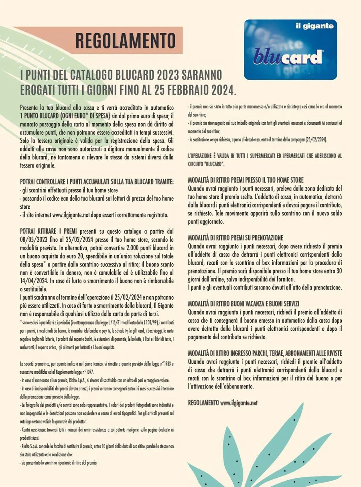 Il Gigante Volantino attuale da 7 giugno a 24 febbraio di 2024 - Pagina del volantino 2