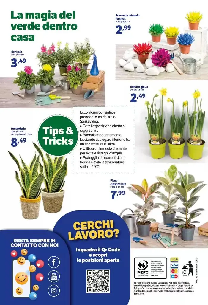 Deliziati con una Pasqua speciale! da 26 marzo a 6 aprile di 2025 - Pagina del volantino 13