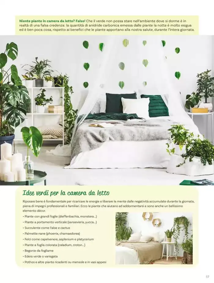 Idee per la vita all' aperto da 18 aprile a 18 maggio di 2025 - Pagina del volantino 57