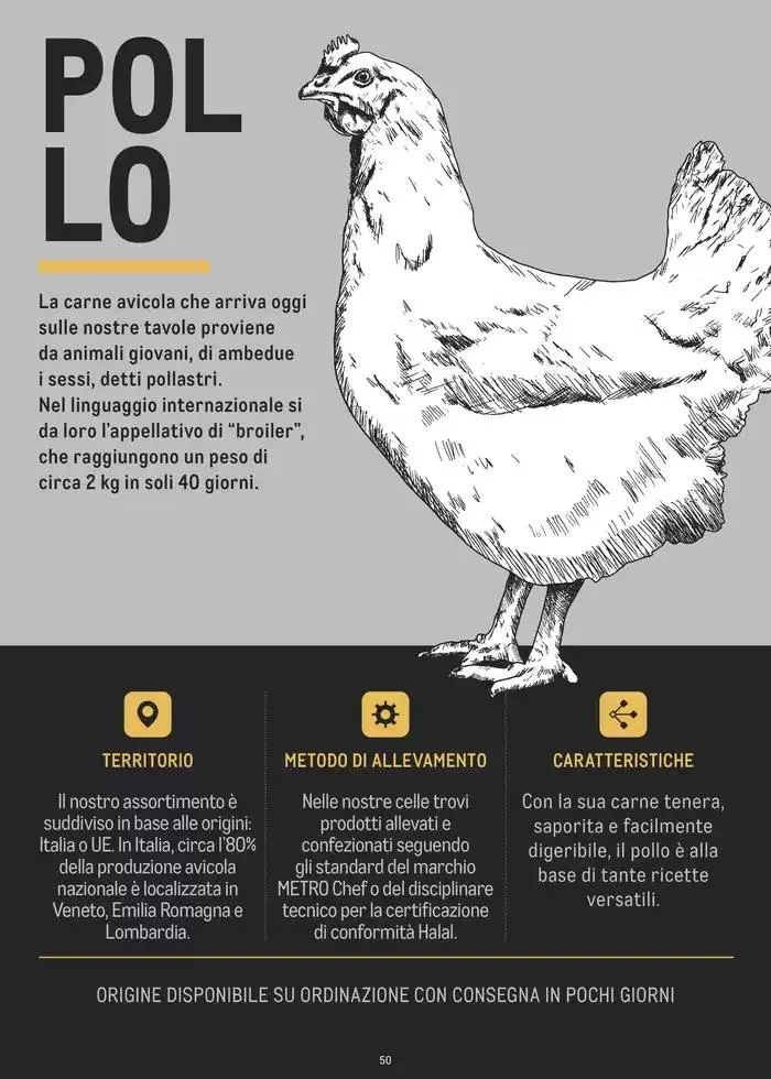 CATALOGO CARNE 2024 da 2 gennaio a 31 agosto di 2025 - Pagina del volantino 50