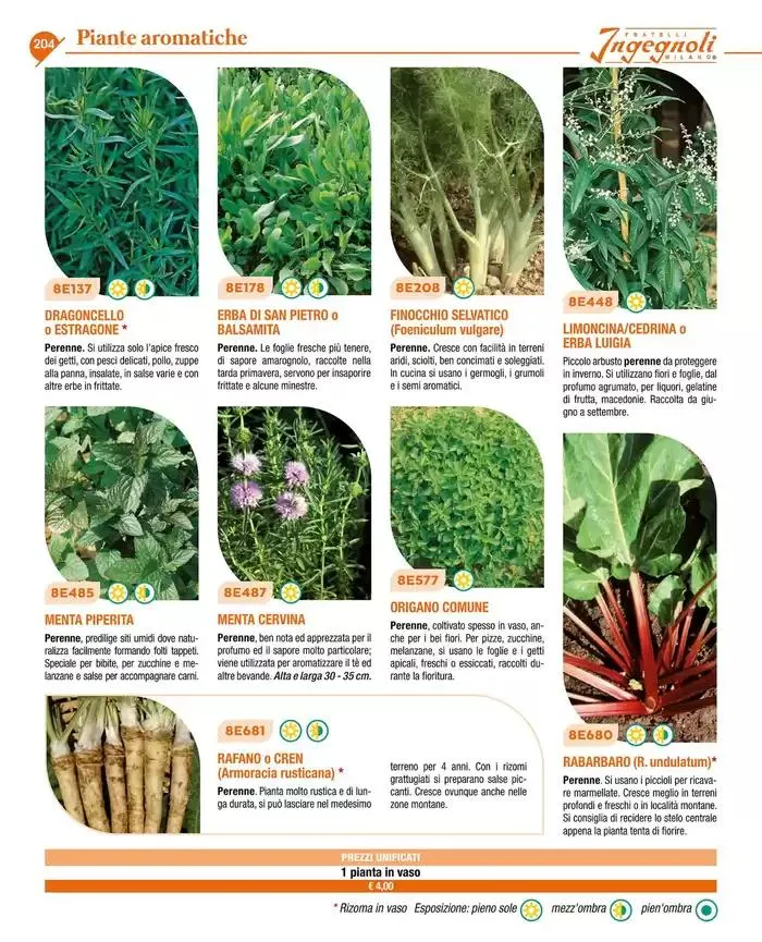 Catalogo guida 2025 da 20 gennaio a 31 dicembre di 2025 - Pagina del volantino 206