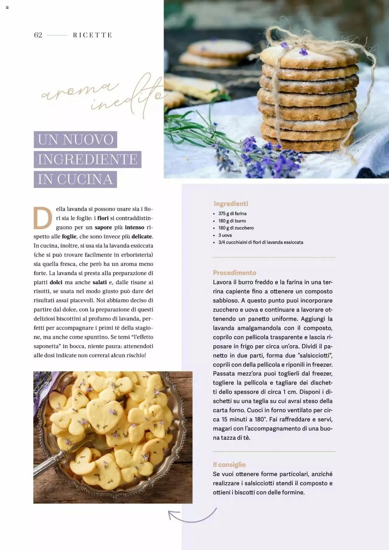 Tigotà - Catalogo AmaTí da 1 settembre a 31 dicembre di 2023 - Pagina del volantino 64