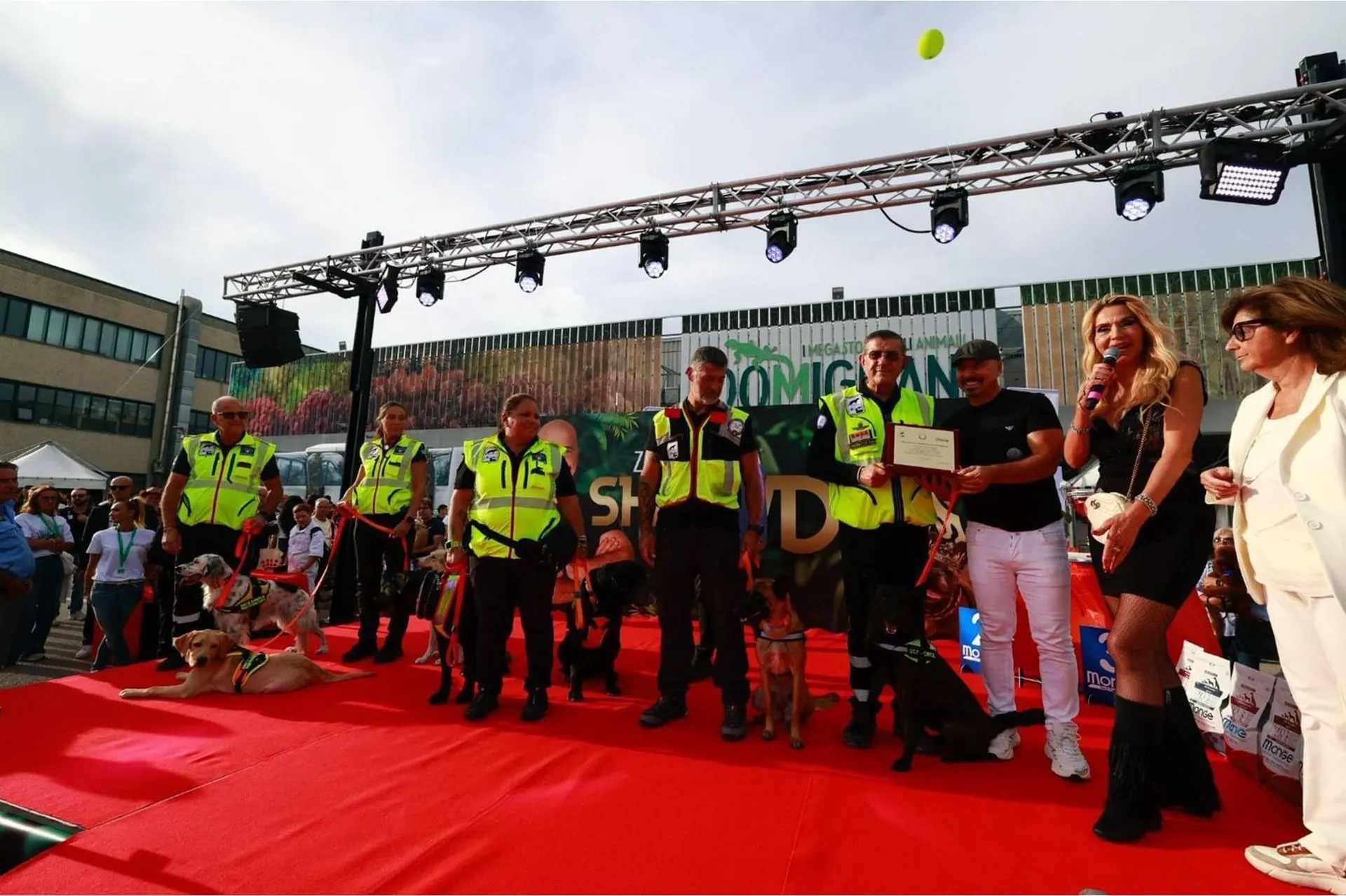 Volantino Zoomiguana da 9 novembre a 23 novembre di 2025 - Pagina del volantino 3