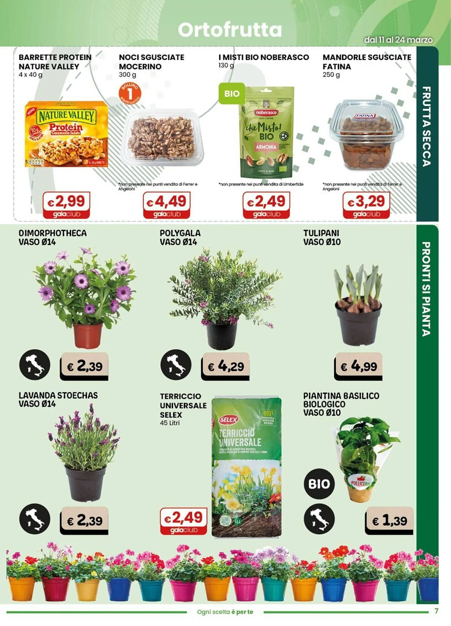Volantino Gala Supermercati da 11 marzo a 24 marzo di 2026 - Pagina del volantino 7