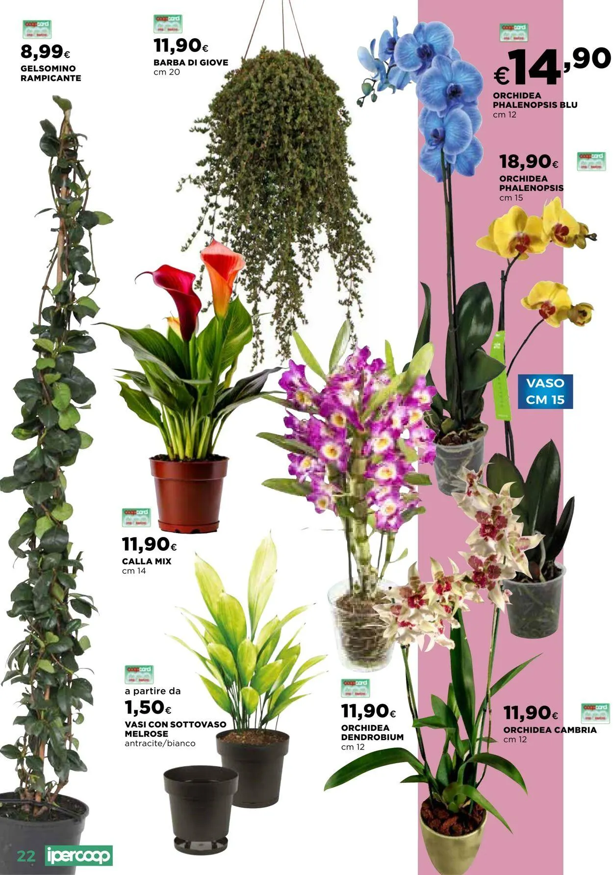 Coop Volantino attuale da 10 aprile a 2 giugno di 2025 - Pagina del volantino 22