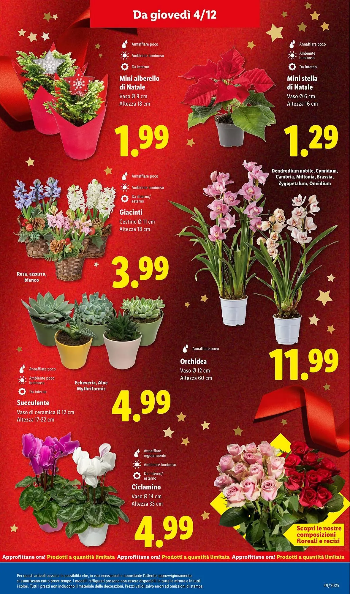 Volantino Lidl da 1 dicembre a 7 dicembre di 2025 - Pagina del volantino 47