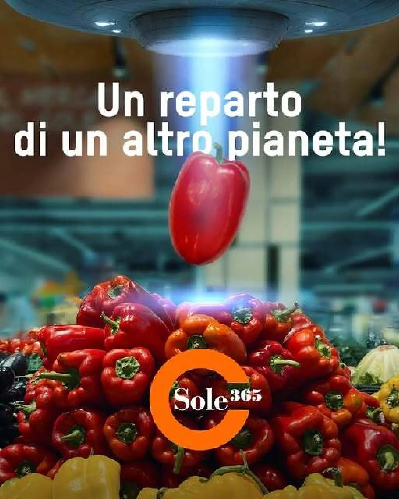 Volantino Sole 365 - 1