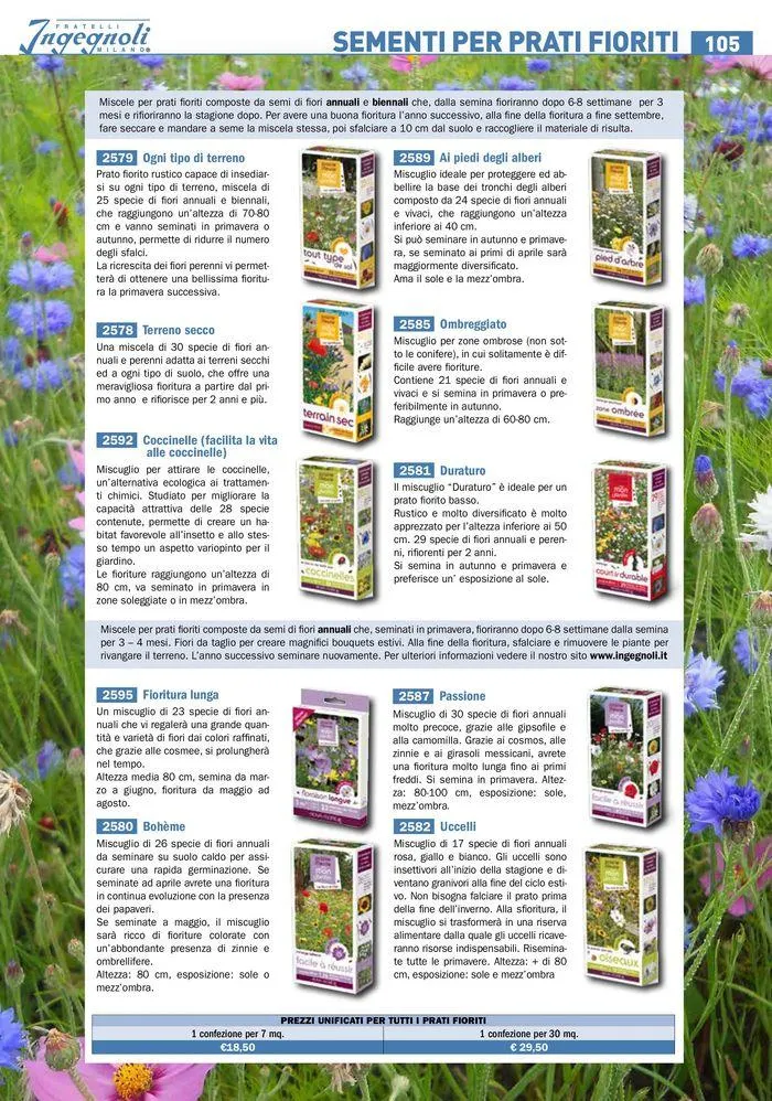 Sementi da fiore da 25 marzo a 31 dicembre di 2024 - Pagina del volantino 3