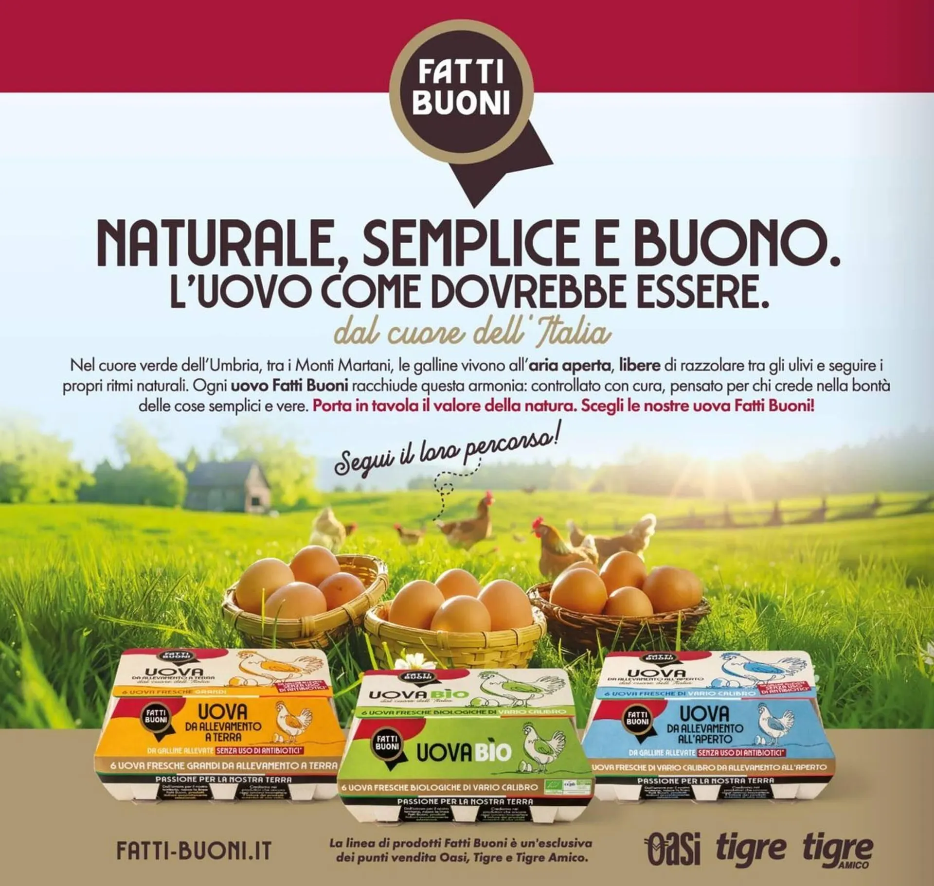 Volantino Tigre da 24 ottobre a 5 novembre di 2025 - Pagina del volantino 4