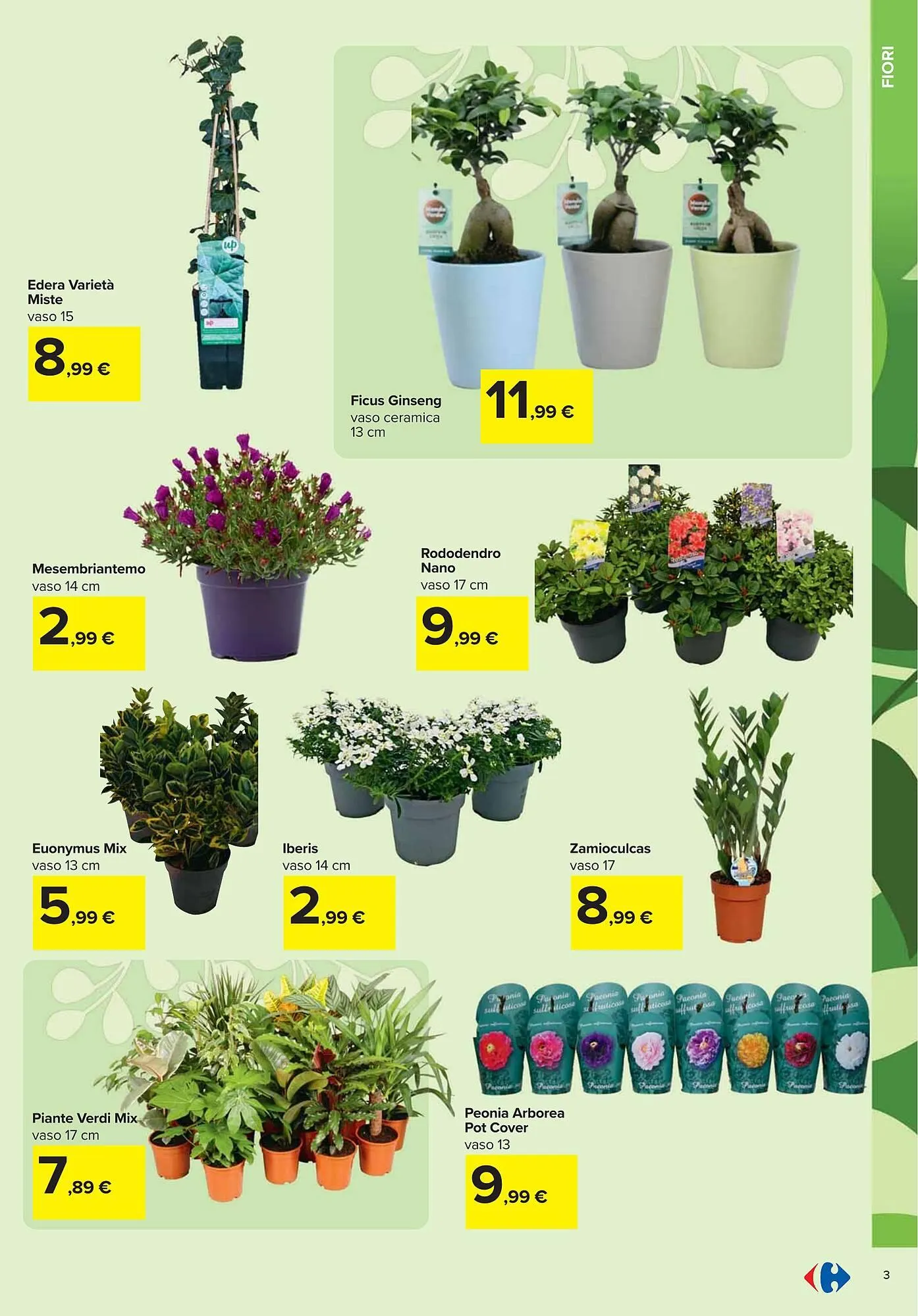 Volantino Carrefour Iper da 13 febbraio a 1 aprile di 2025 - Pagina del volantino 3