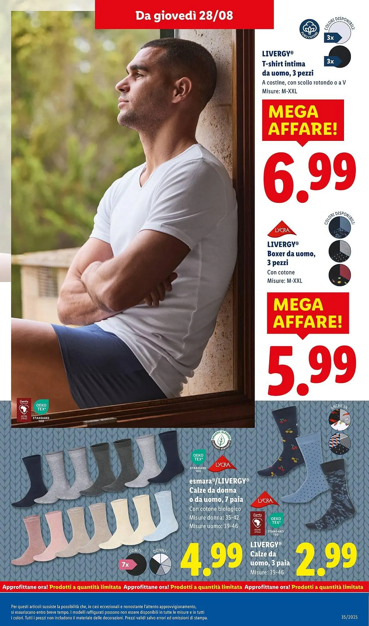 Volantino Lidl da 25 agosto a 31 agosto di 2025 - Pagina del volantino 39