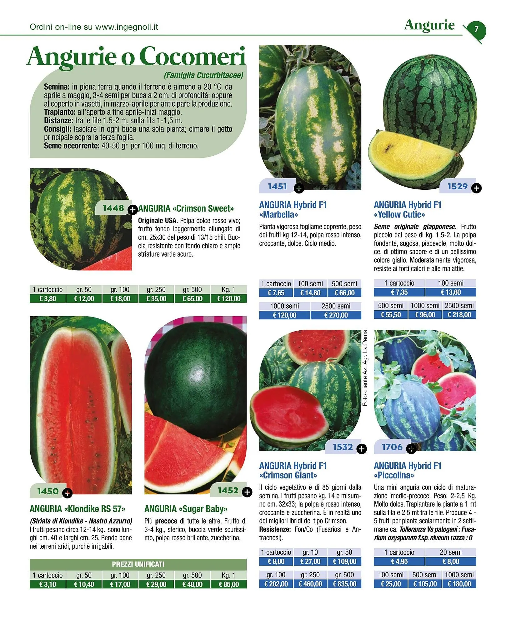 Volantino Ingegnoli da 4 novembre a 31 dicembre di 2025 - Pagina del volantino 9