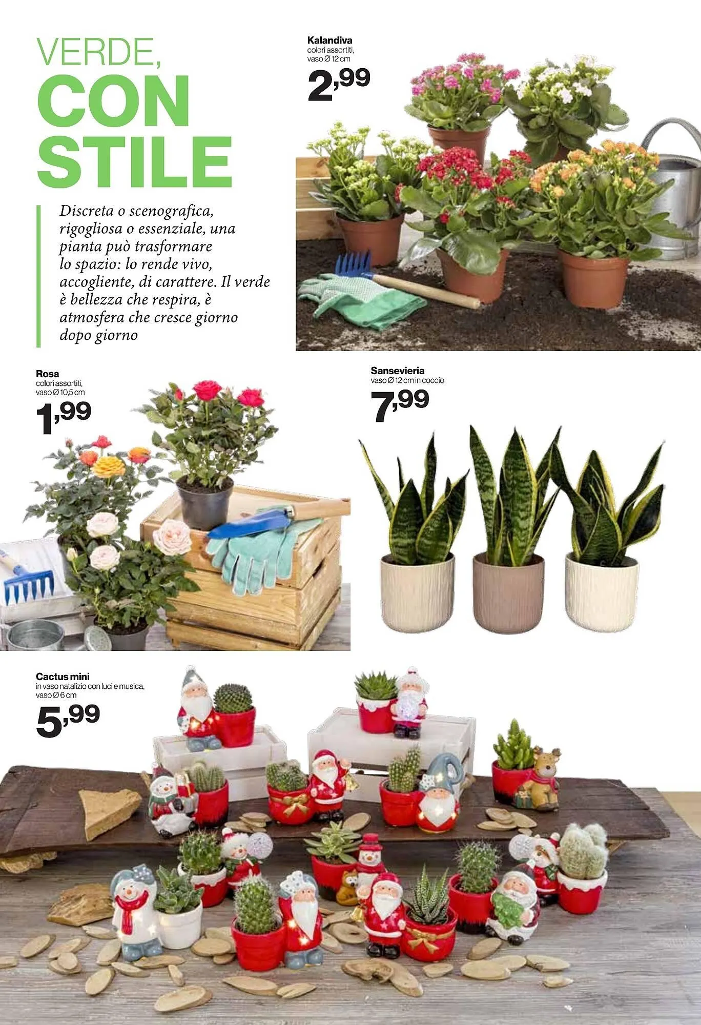 Volantino In'S Mercato da 5 novembre a 16 novembre di 2025 - Pagina del volantino 16