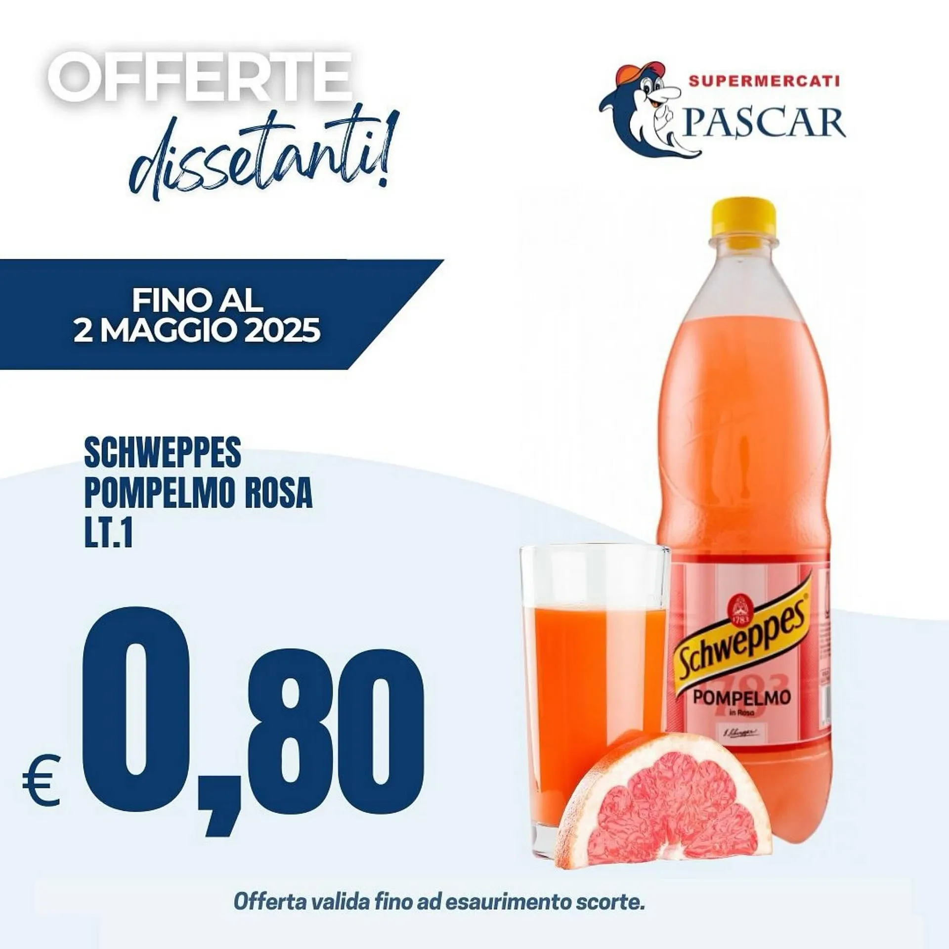 Volantino Gruppo Pascar da 13 aprile a 18 maggio di 2025 - Pagina del volantino 1