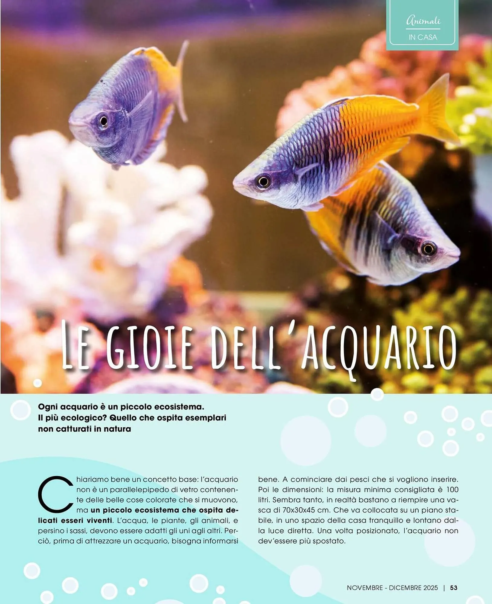 Volantino A&O da 1 novembre a 31 dicembre di 2025 - Pagina del volantino 54