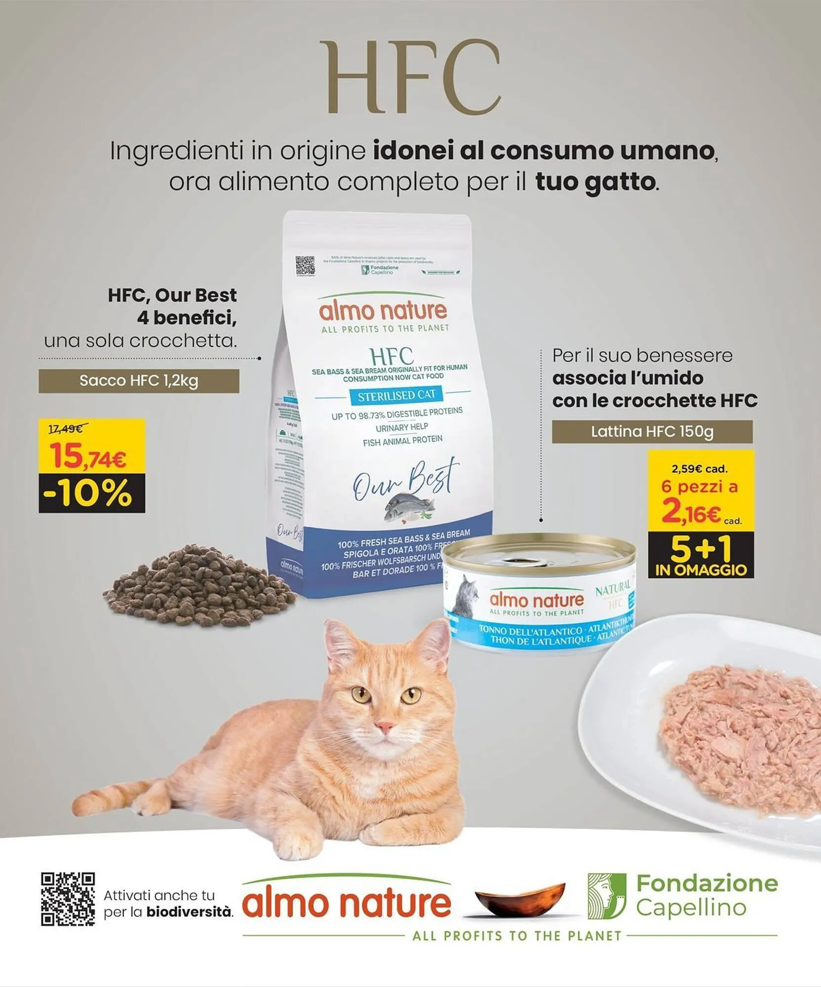 Volantino Arcaplanet da 1 dicembre a 7 dicembre di 2025 - Pagina del volantino 4