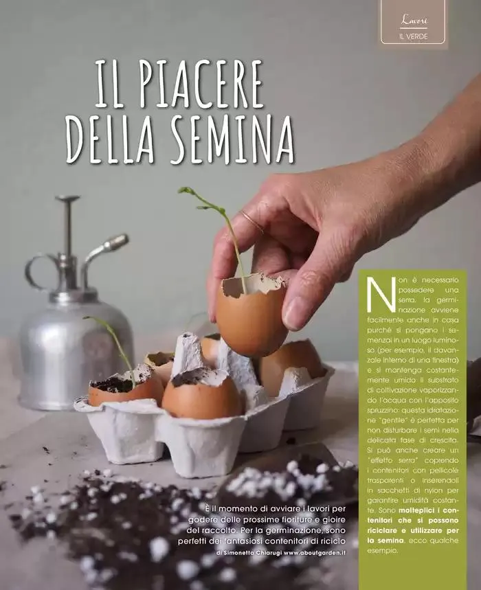 Catalogo A&O da 1 marzo a 30 aprile di 2025 - Pagina del volantino 34