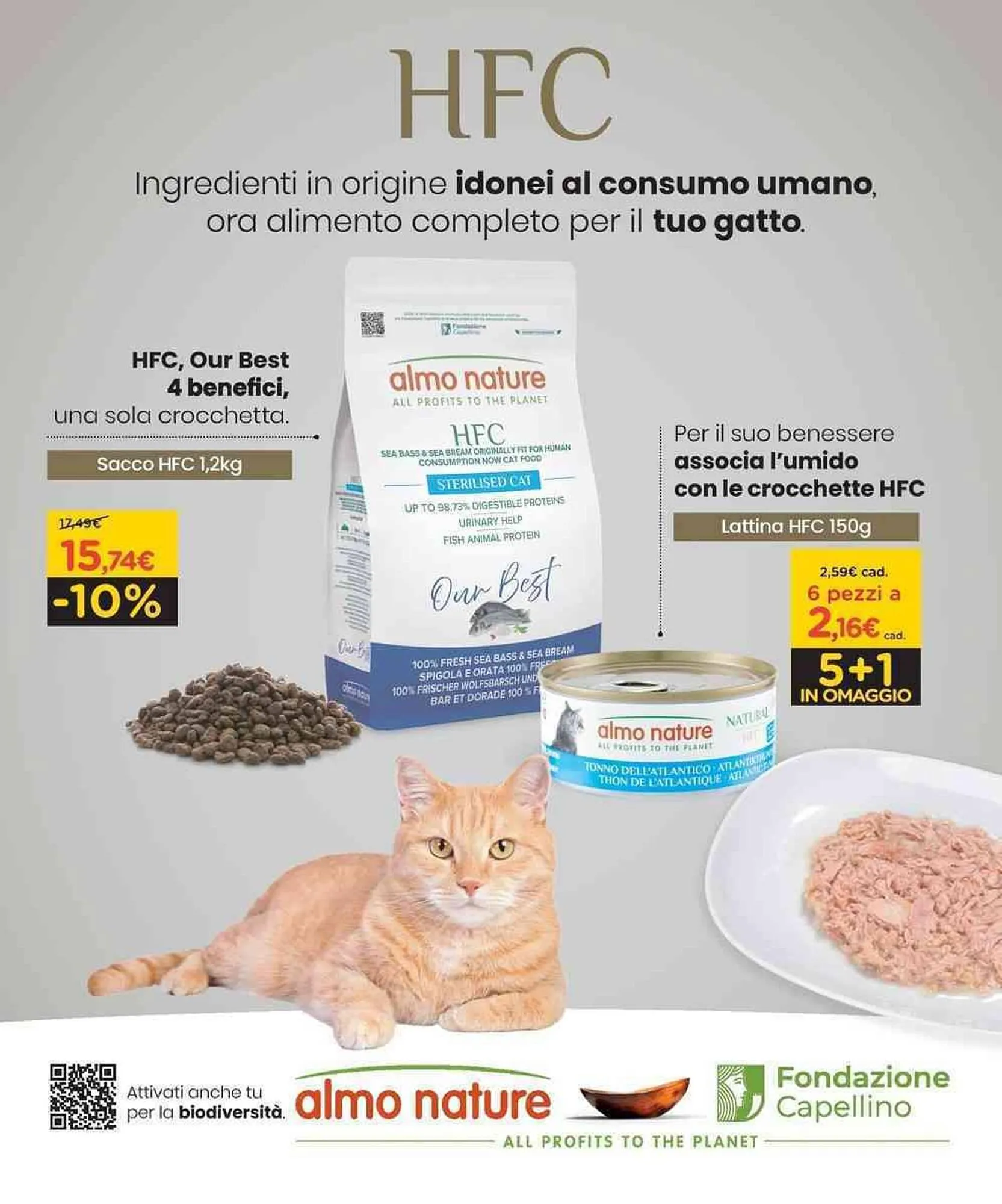 Volantino Arcaplanet da 8 dicembre a 14 dicembre di 2025 - Pagina del volantino 4