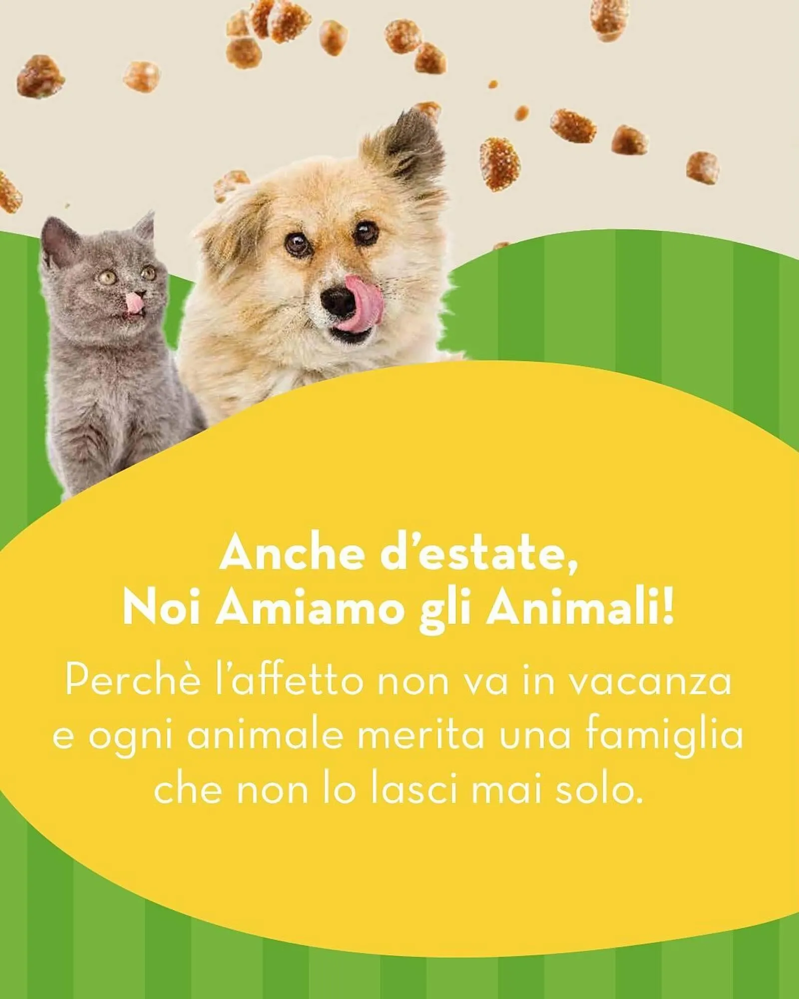 Volantino Splendidi e Splendenti da 19 giugno a 30 giugno di 2025 - Pagina del volantino 3