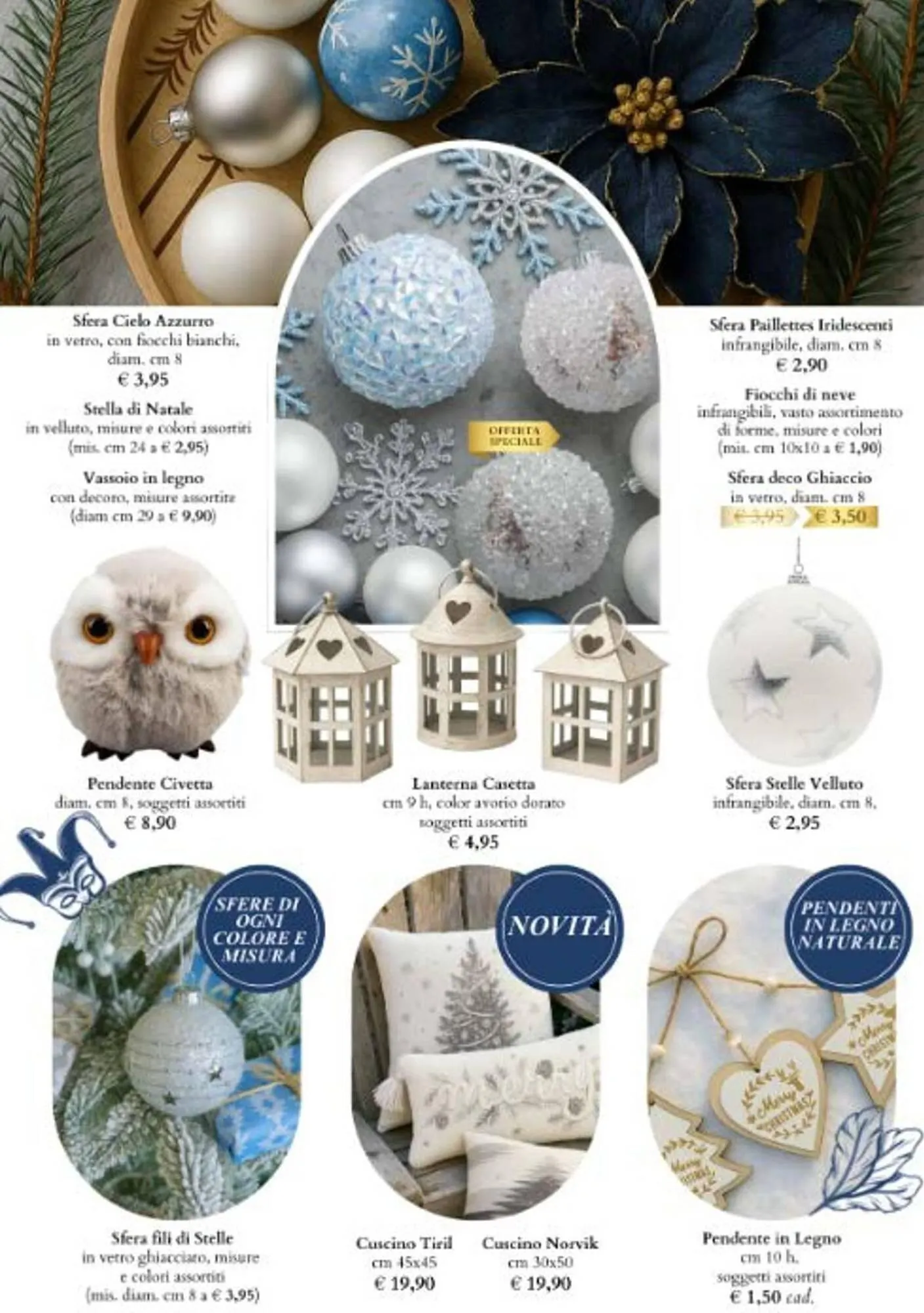 Volantino Giardineria da 6 novembre a 31 dicembre di 2025 - Pagina del volantino 12