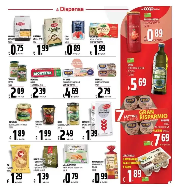 offerte valide dal 7 al 21 maggio 2025 da 7 maggio a 18 maggio di 2025 - Pagina del volantino 9