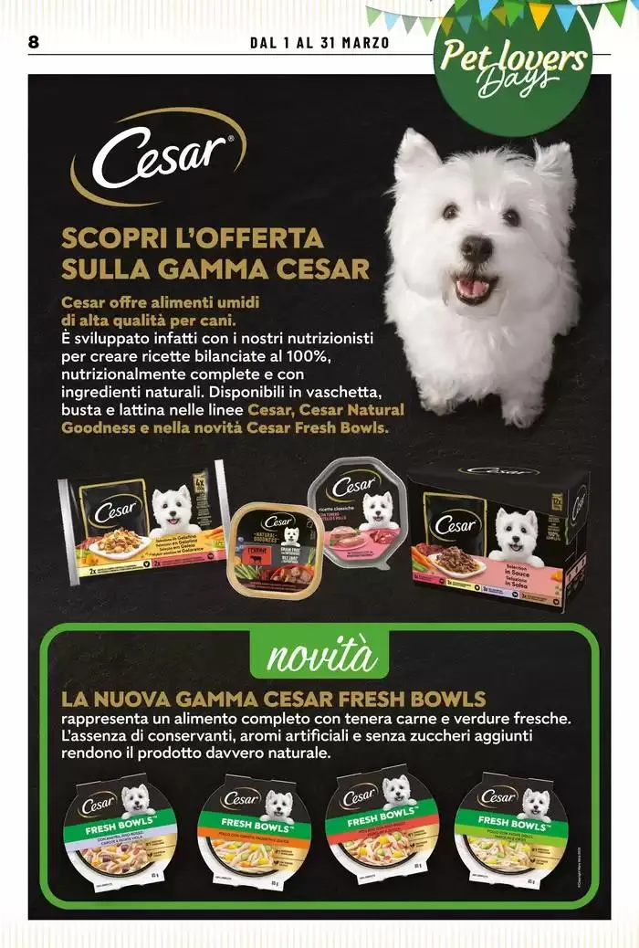 Marzo in festa! da 1 marzo a 31 marzo di 2025 - Pagina del volantino 8