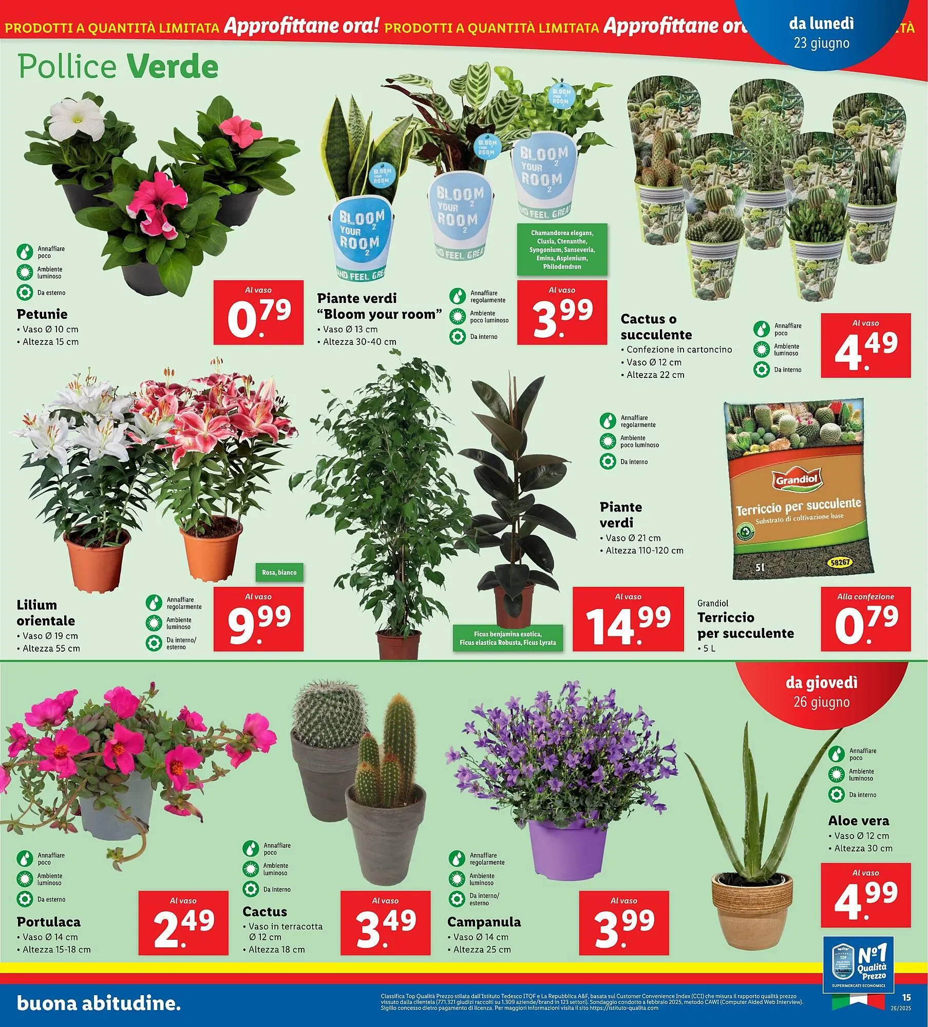 Volantino Lidl da 23 giugno a 29 giugno di 2025 - Pagina del volantino 19