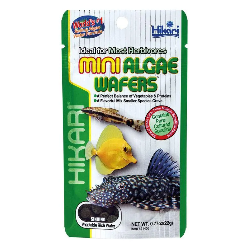 Hikari Tropical Mini Algae Wafers 22 gr 000112053
