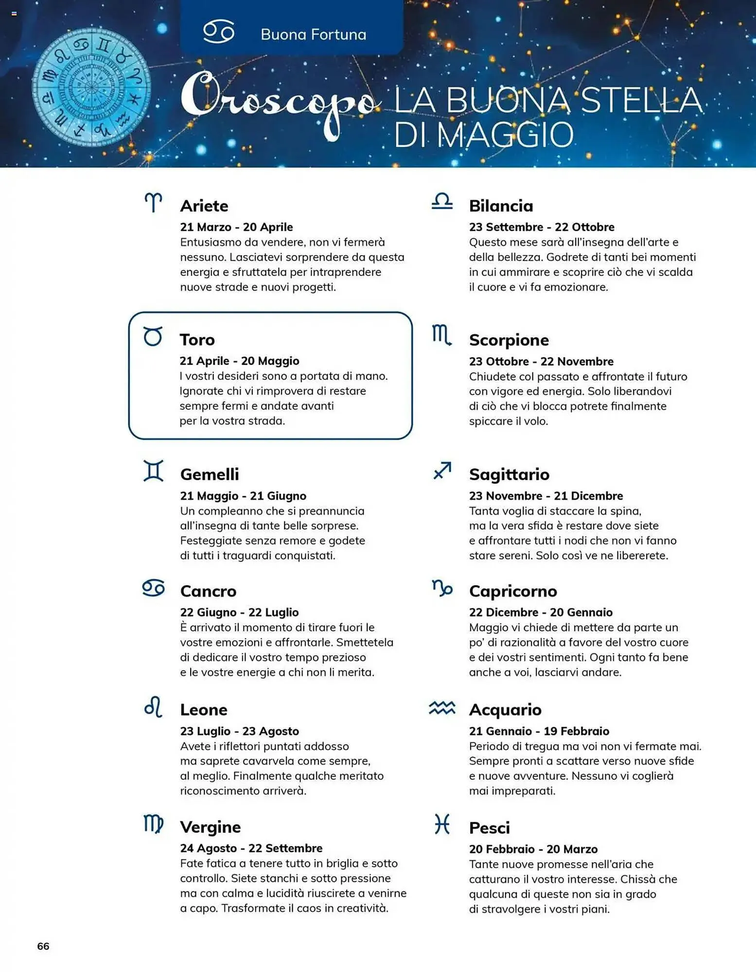 Volantino Basko da 8 maggio a 30 giugno di 2025 - Pagina del volantino 66
