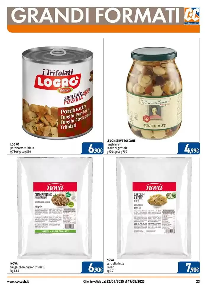 Professional da 23 aprile a 17 maggio di 2025 - Pagina del volantino 23