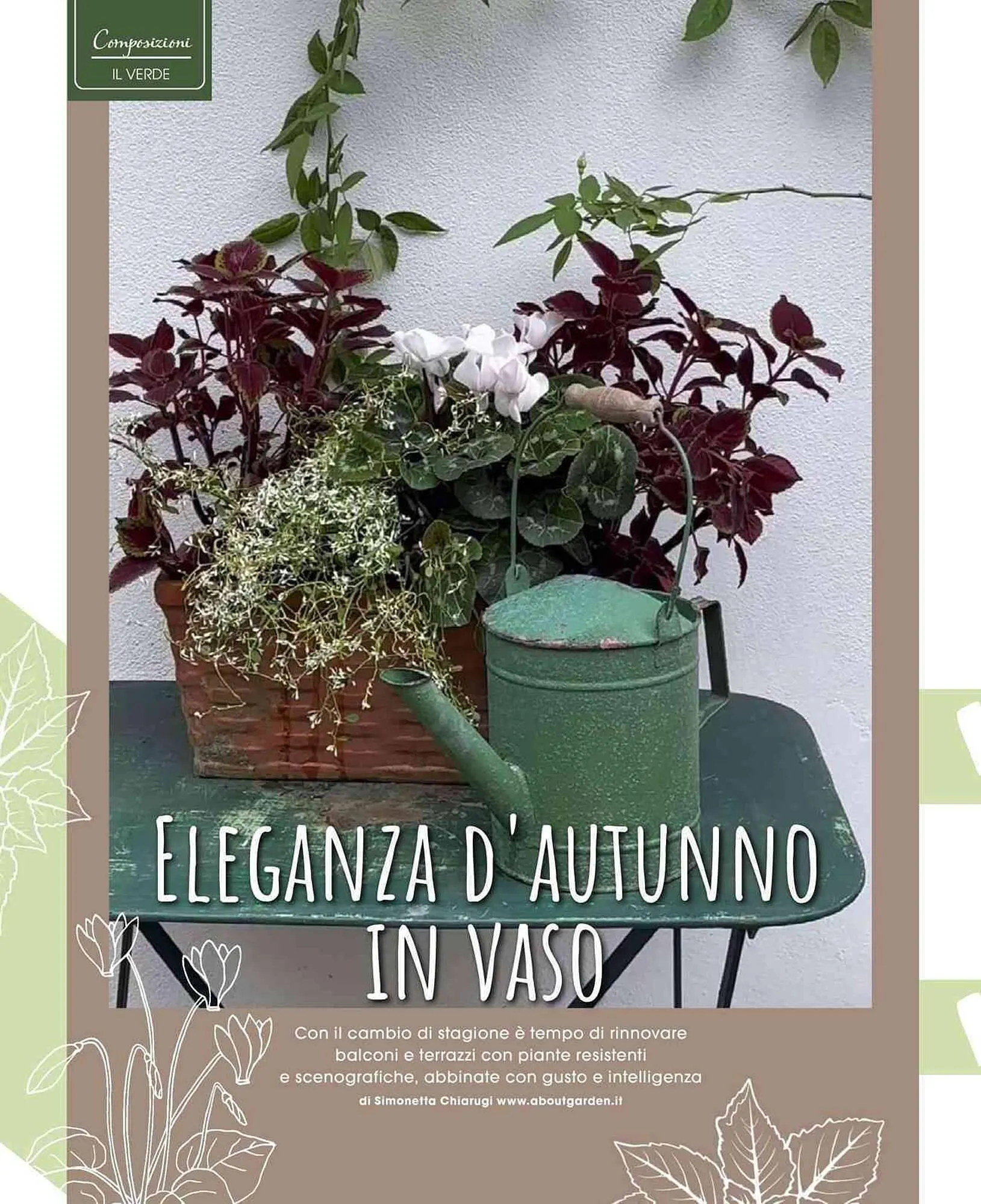 Volantino A&O da 1 settembre a 31 ottobre di 2025 - Pagina del volantino 43