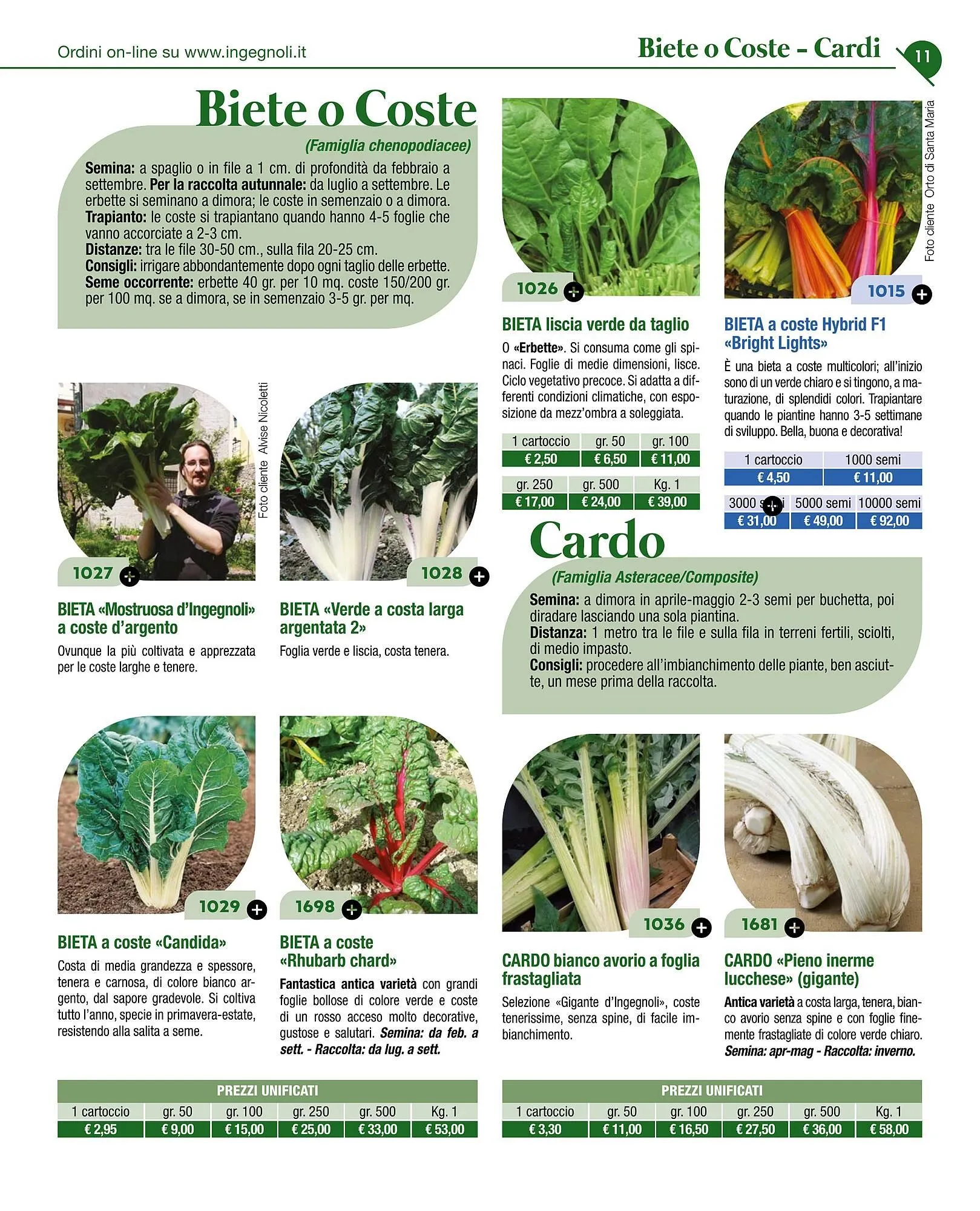 Volantino Ingegnoli da 4 novembre a 31 dicembre di 2025 - Pagina del volantino 13