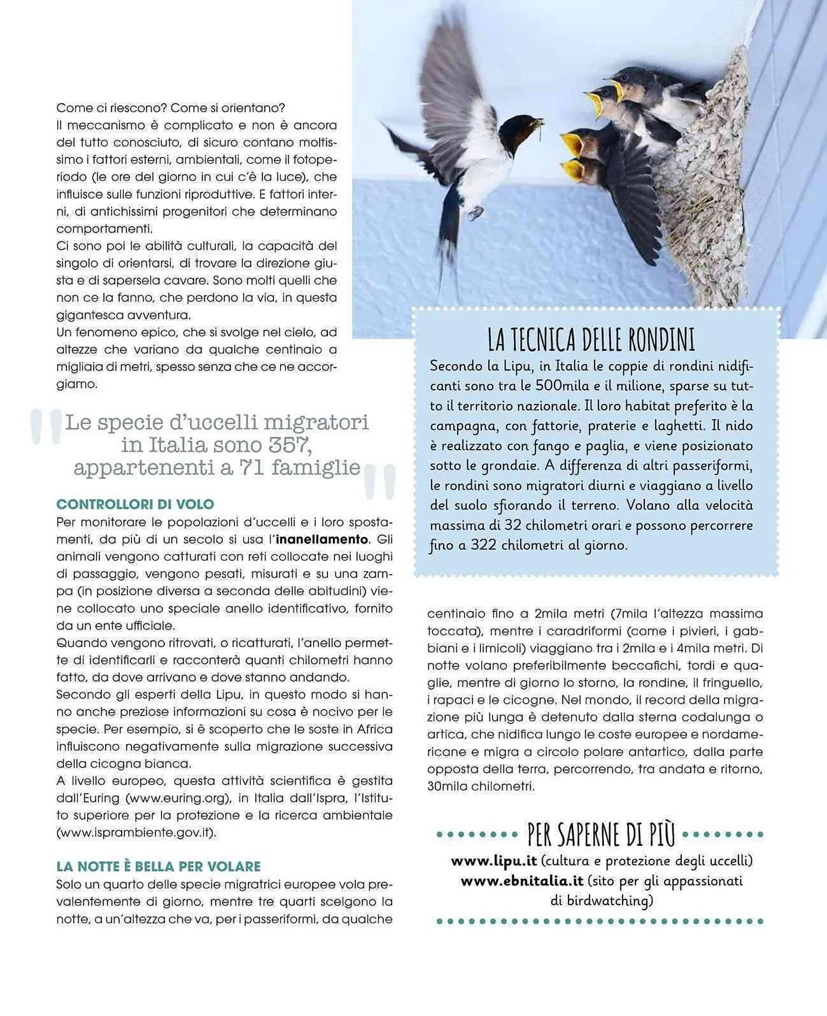 Volantino A&O da 1 settembre a 31 ottobre di 2025 - Pagina del volantino 51