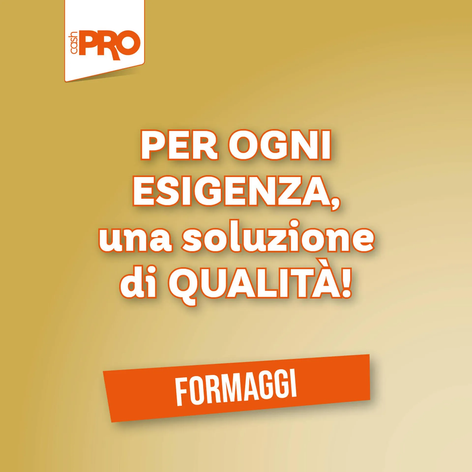 Volantino Cash pro - 1