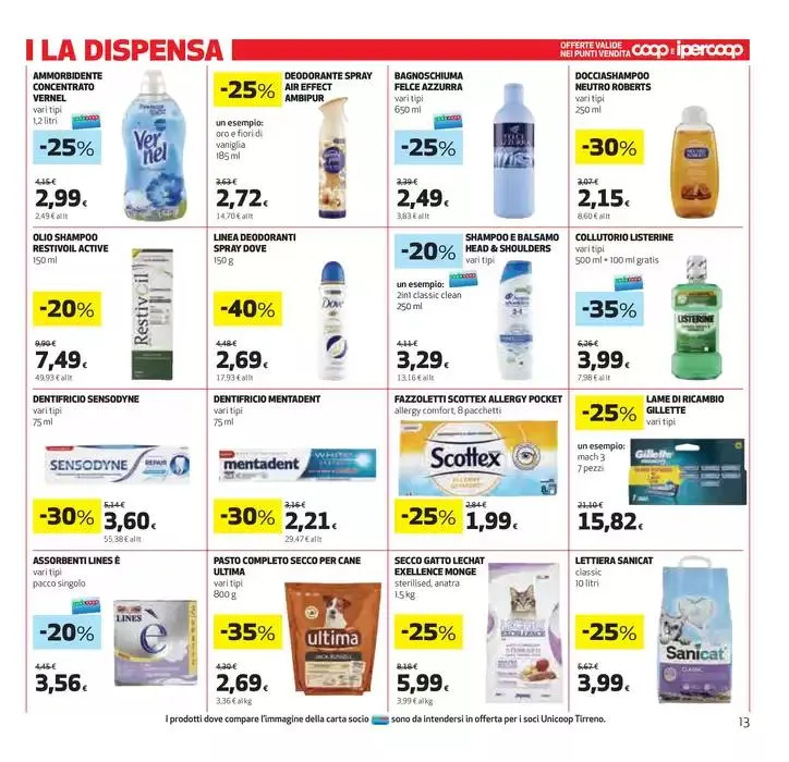 Sottocosto da 30 gennaio a 12 febbraio di 2025 - Pagina del volantino 13