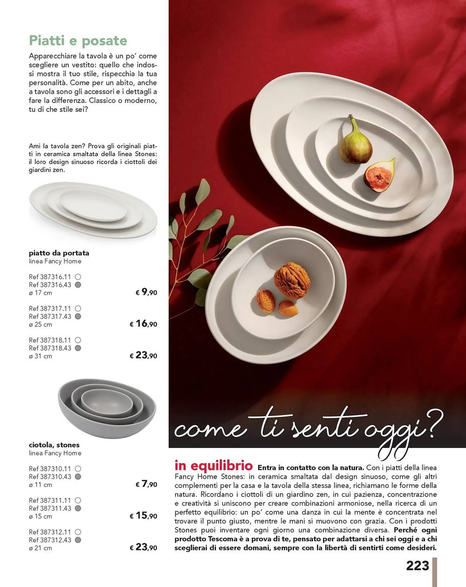 Volantino Tescoma da 27 giugno a 31 dicembre di 2025 - Pagina del volantino 223