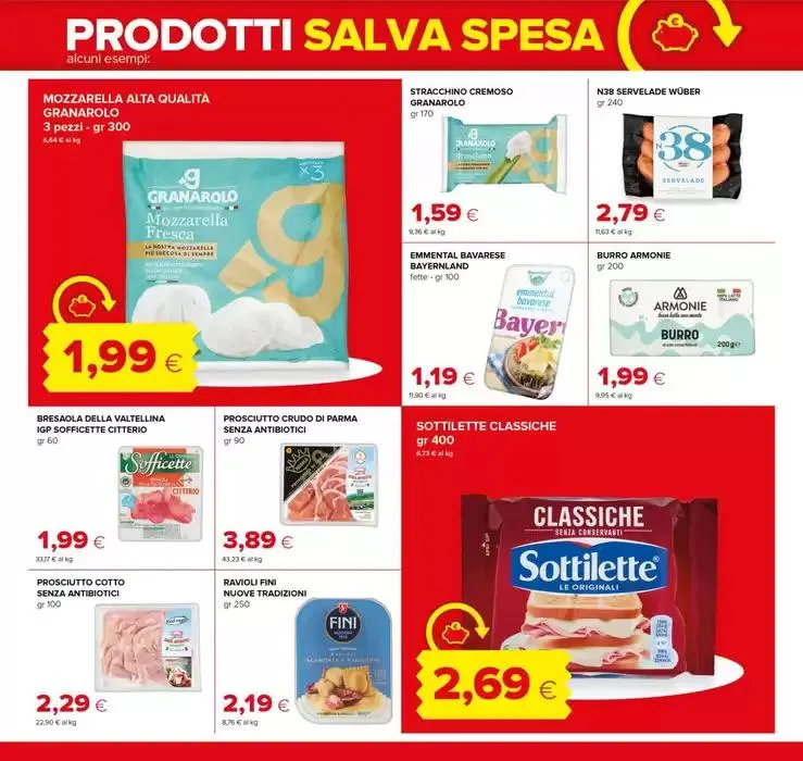 Salva spesa da 13 marzo a 26 marzo di 2025 - Pagina del volantino 13