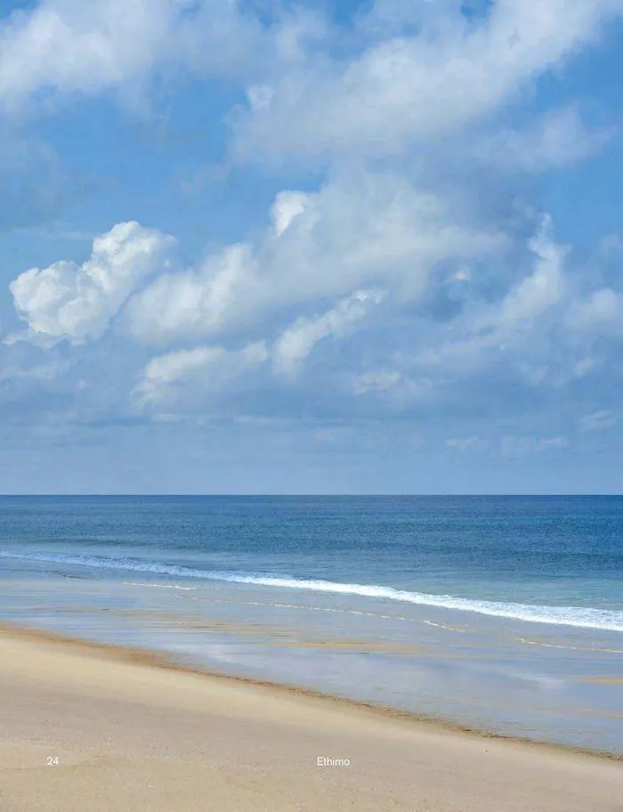 Outdoor decor collections 2024 da 1 febbraio a 30 giugno di 2024 - Pagina del volantino 26