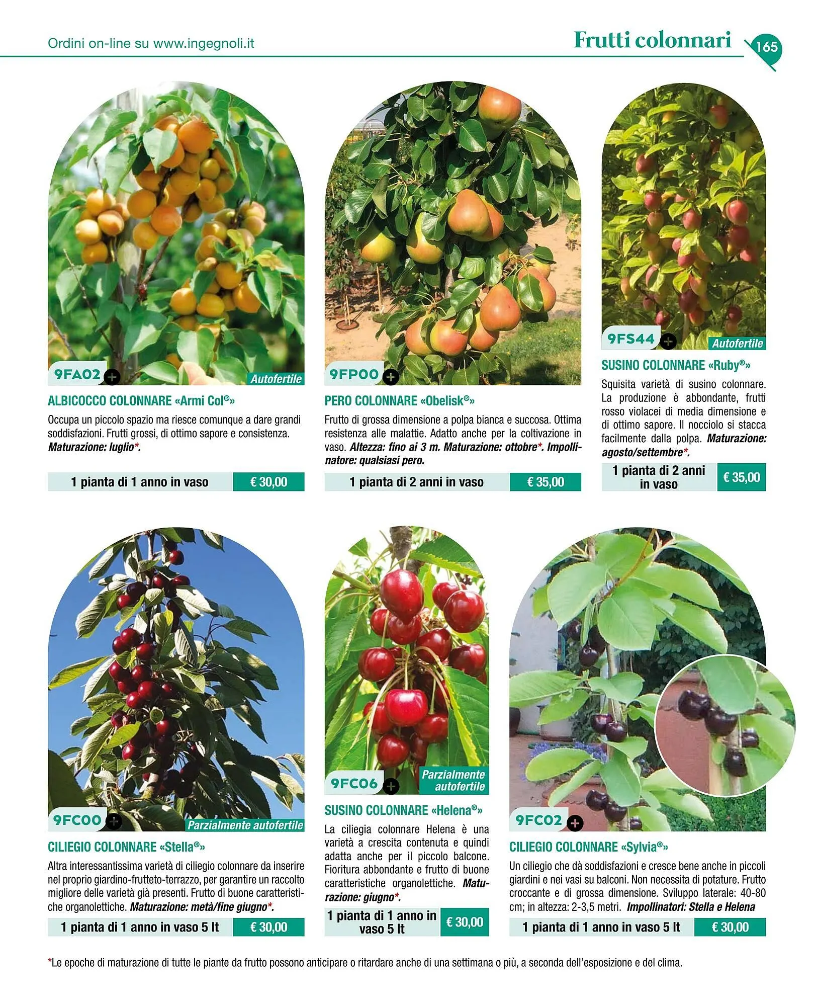 Volantino Ingegnoli da 4 novembre a 31 dicembre di 2025 - Pagina del volantino 167