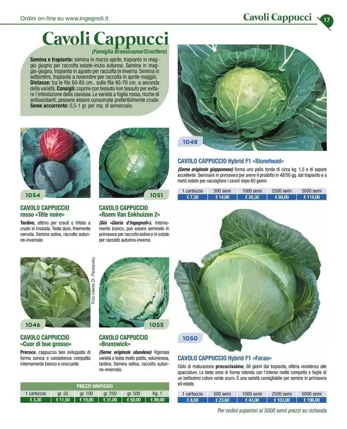 Catalogo guida 2025 da 20 gennaio a 31 dicembre di 2025 - Pagina del volantino 19