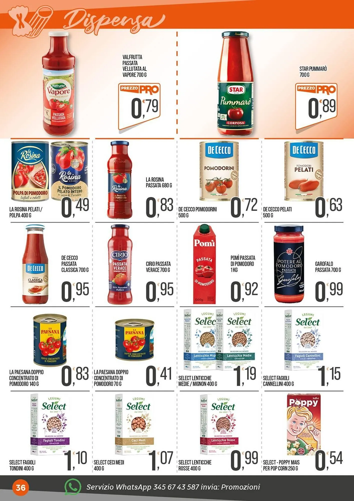 Volantino Cash pro da 1 dicembre a 14 dicembre di 2025 - Pagina del volantino 36